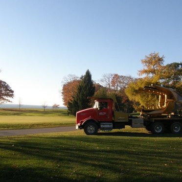 Tree Transplanting Truck