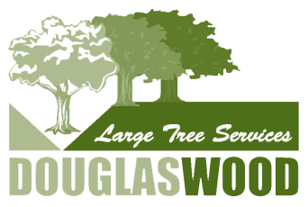 Douglas Wood Large Tree Services
